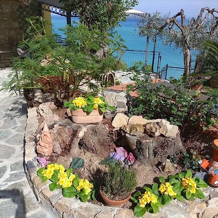 B&B Nido Sul Mare Alassio Dış mekan fotoğraf
