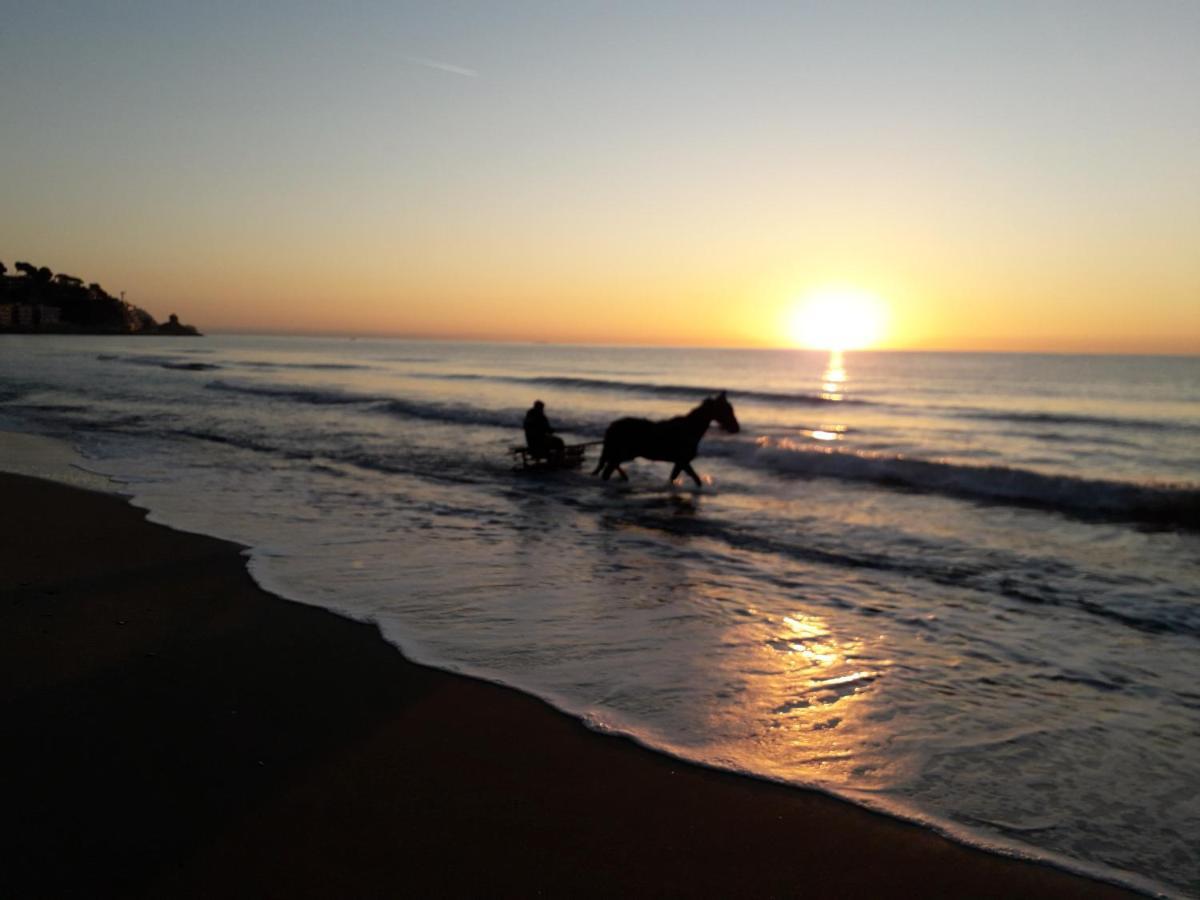 B&B Nido Sul Mare Alassio Dış mekan fotoğraf