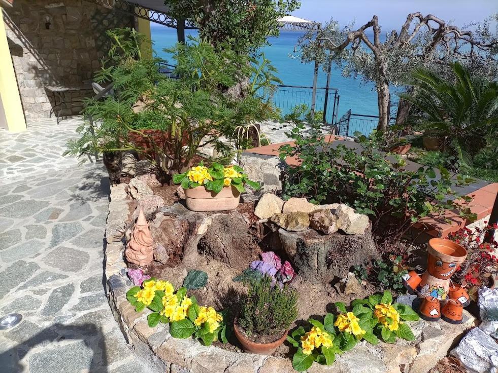 B&B Nido Sul Mare Alassio Dış mekan fotoğraf